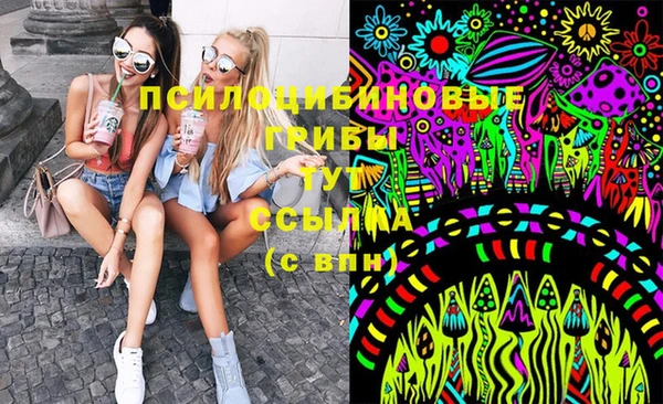 мдпв Киренск