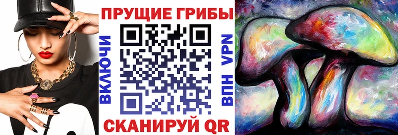 Галлюциногенные грибы мухоморы  Купить где  Анадырь 